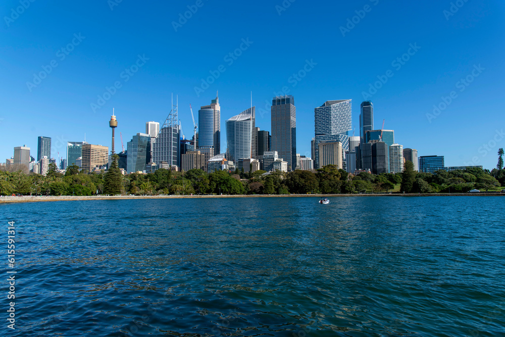 Fototapeta premium Sydney City skyline from Mrs Macquarie's Chair
