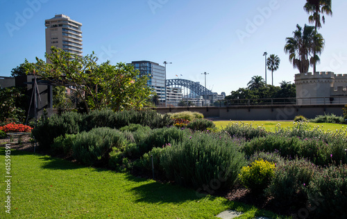 Sydney Harbour Bridge from Royal Botanic Garden