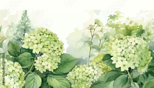 floral watercolor background green hydrangea flower