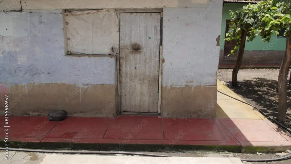 hand held wide shot of a farmyard in Peru with steel doors and a canopy of grape leaves hand held wide shot of a farmyard in Peru with steel doors and a canopy of grape leaves