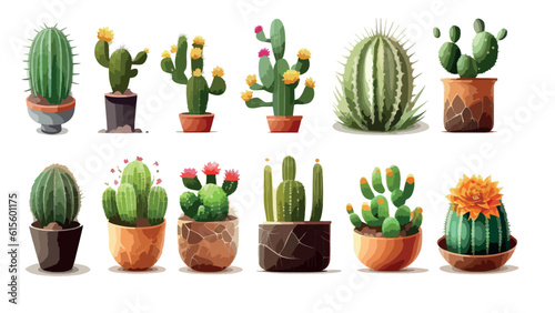 Set of different of colorful cactus in flower pots