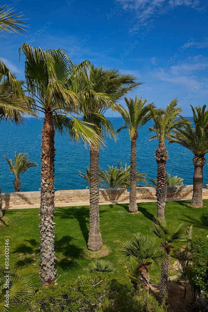 Fototapeta premium View of the Mediterranean Sea from the garden in the medieval castle of Peniscula.