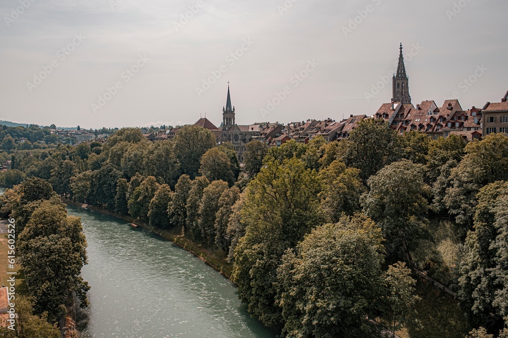 Fototapeta premium old cathedral in the city