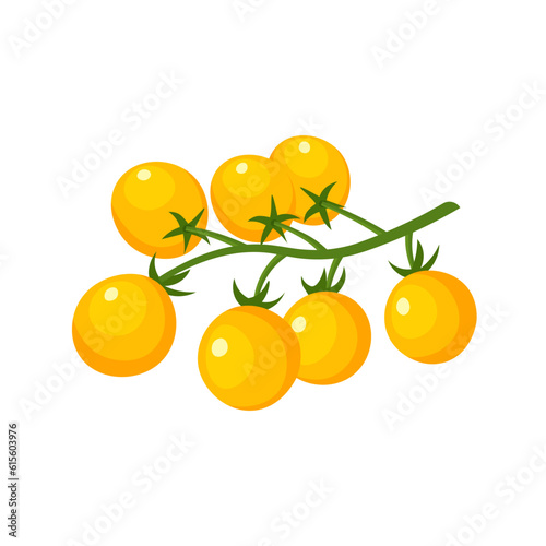 Yellow tomatoes cherry. Farm fresh tomato branch. Vector illustration in trendy flat style isolated on white background.