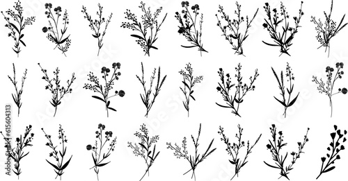 Silhouettes botanic blossom floral elements. Big set branches, leaves, herbs, wild plants, flowers. Garden, meadow, feild collection leaf, foliage. Vector illustration isolated on white background