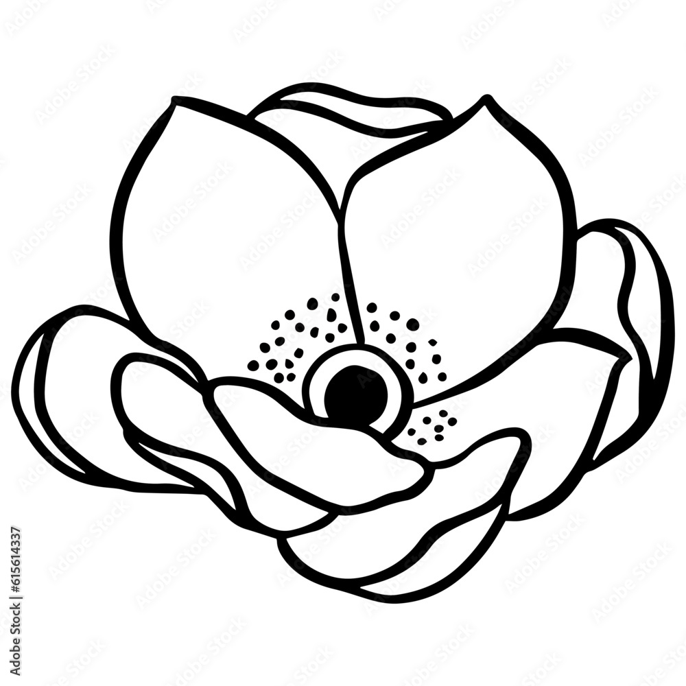 black and white flower black and white flower