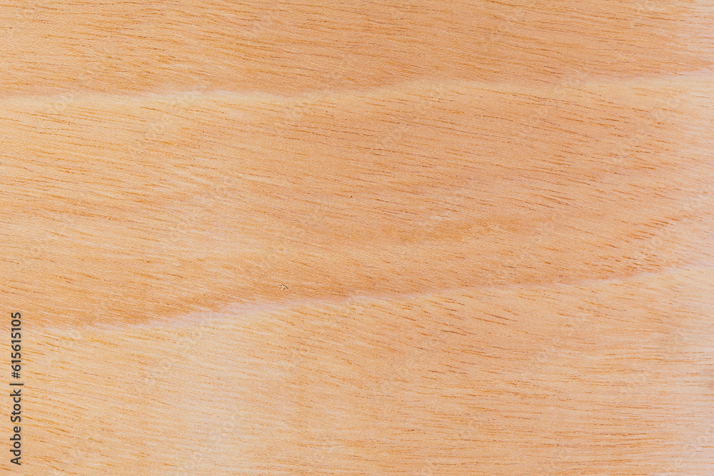 Light rough textured cut surface of an African tree. Wood background or blank for design Light rough textured cut surface of an African tree. Wood background or blank for design