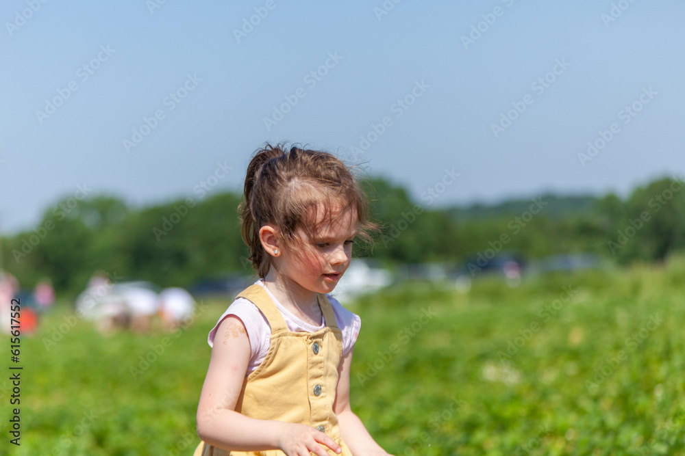 Cute little girl playing in the field on a sunny summer day Cute little girl playing in the field on a sunny summer day