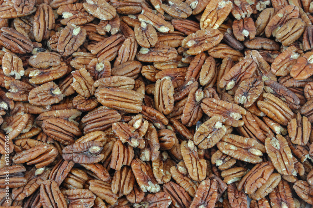 pecan nut as food background