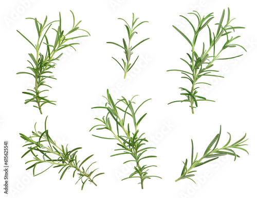 Set with fresh rosemary isolated on white © New Africa