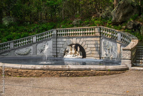 bridge in the park