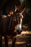 Portrait of Donkey Dramatic and Cinematic Lighting Photography, Generative AI