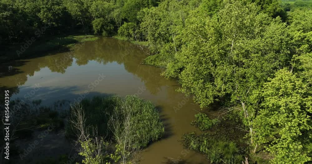 Tranquil Pond Surrounded With Green Trees, Lake Sequoyah In AR, USA - aerial drone shot Tranquil Pond Surrounded With Green Trees, Lake Sequoyah In AR, USA - aerial drone shot
