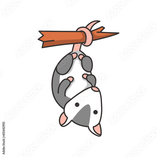 Cute possum illustration