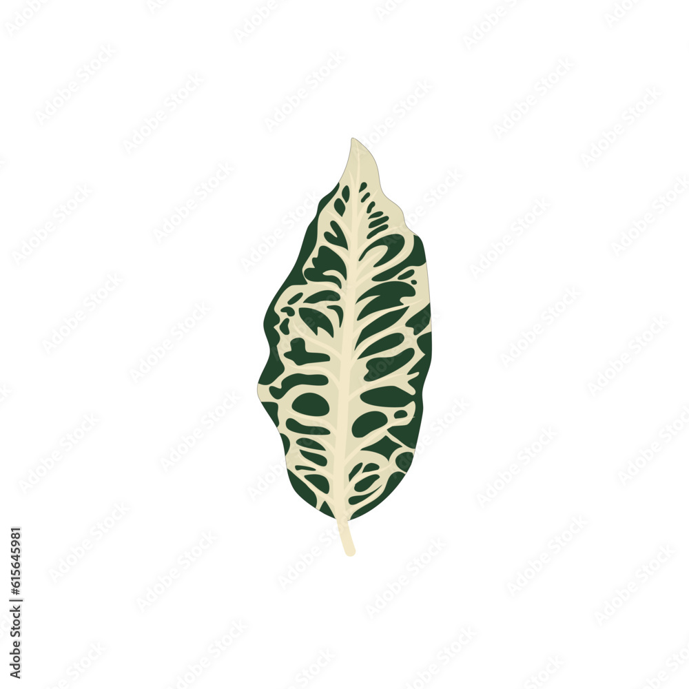 MONSTERA PLANTS ILLUSTRATION