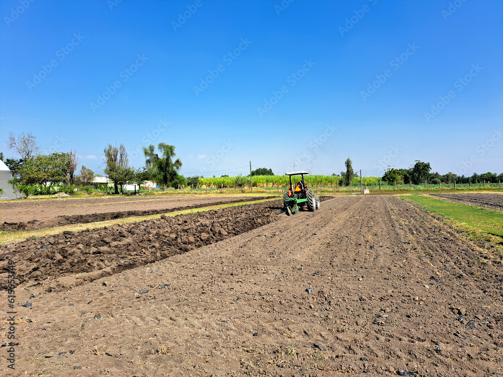 Agricultural tractor plows the land to cultivate, work the field and use it for the production of natural products Agricultural tractor plows the land to cultivate, work the field and use it for the production of natural products