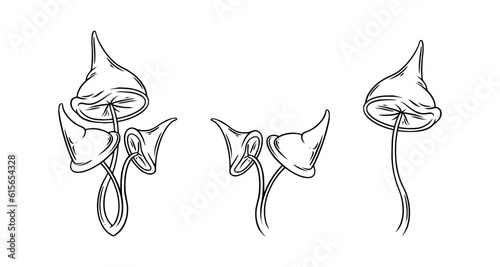 Poison mushrooms set. Psychedelic mushrooms for wicca rituals. Vector illustration isolated in white background