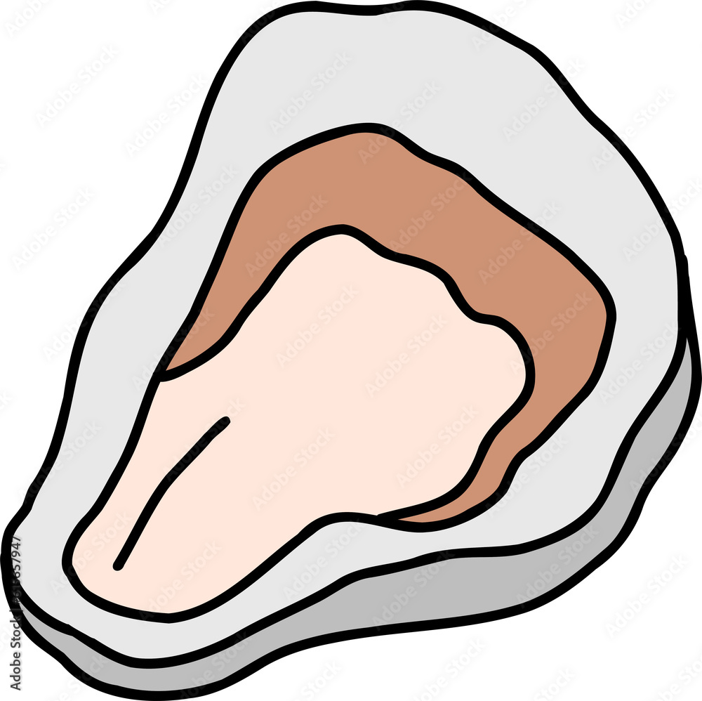 Obraz premium Fresh opened oyster hand draw