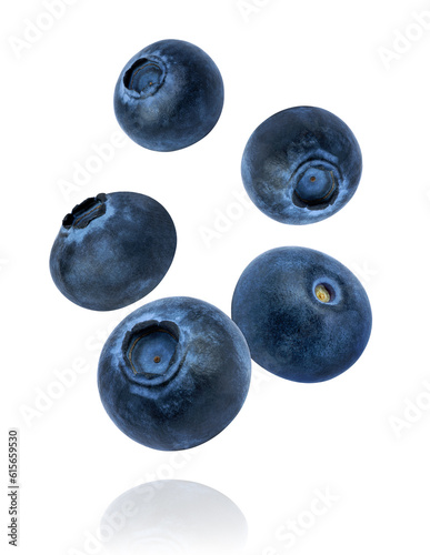 Blueberry fruit flying in the air isolated on white background. 
