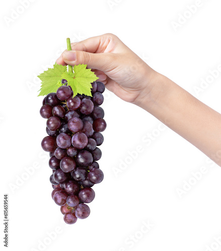 Hand hold red grape isolated on white background.