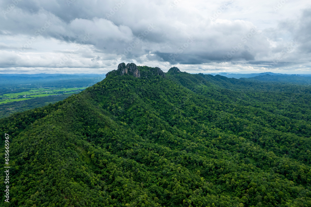 Aerial top view forest tree, Rainforest ecosystem and healthy environment concept Aerial top view forest tree, Rainforest ecosystem and healthy environment concept