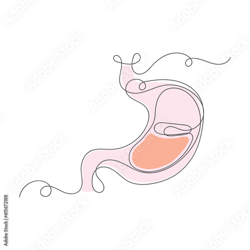 One continuous line art stomach vector illustration.