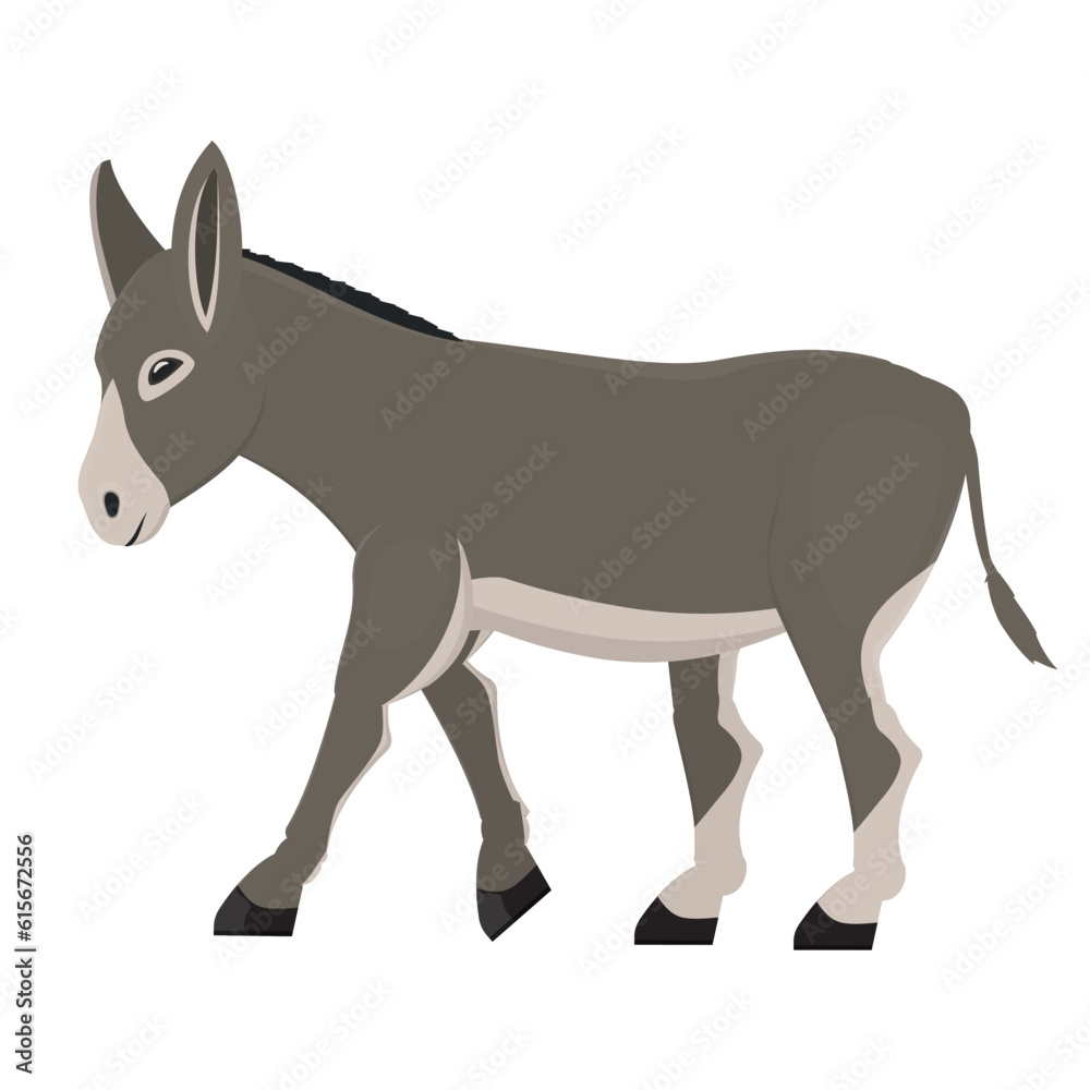 Donkey. Animal donkey, vector illustration