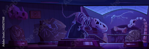 Night museum room with dinosaur skeletons and fossil stones. Vector cartoon illustration of archeology exhibits on stands, ancient rocks with prehistoric animal imprints, dino skulls and bones