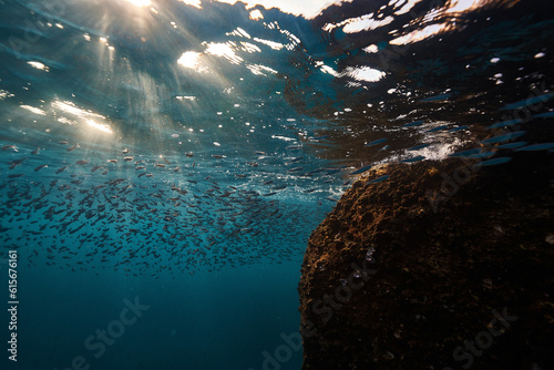 underwater view of the sea
