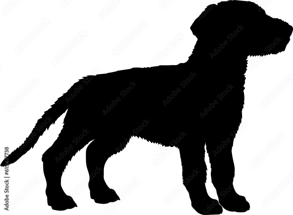  Irish Wolfhound Dog puppies silhouette. Baby dog silhouette. Puppy