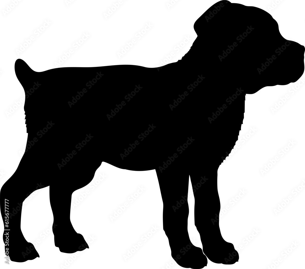 Cane Corso Dog puppies silhouette. Baby dog silhouette. Puppy