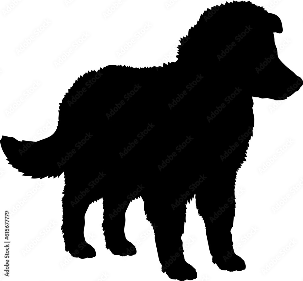 Collie Dog puppies silhouette. Baby dog silhouette. Puppy
