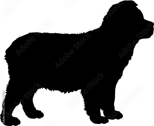 Australian Shepherd. Dog puppies silhouette. Baby dog silhouette. Puppy