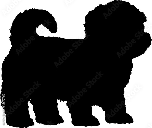 Bichon Frise. Dog puppies silhouette. Baby dog silhouette. Puppy