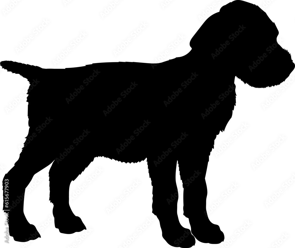 Wirehaired Pointing Griffon. Dog puppies silhouette. Baby dog silhouette. Puppy