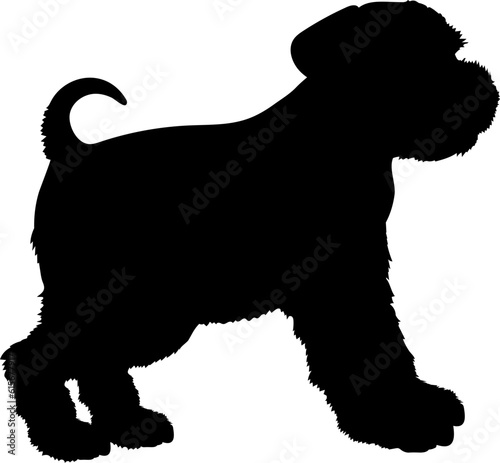 Standard Schnauzer Dog puppies silhouette. Baby dog silhouette. Puppy