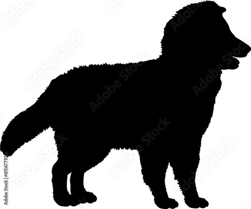  Shetland Sheepdog Dog puppies silhouette. Baby dog silhouette. Puppy