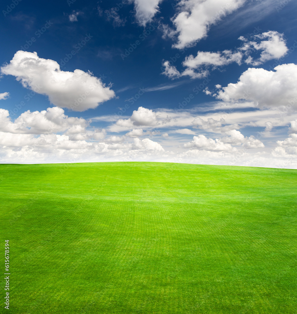 Fototapeta premium Landscape with green grass field under a blue sky