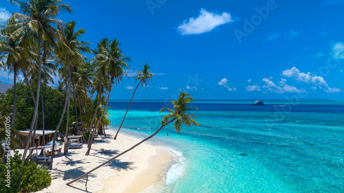 Fototapeta Naklejka Na Ścianę i Meble -  Summer palm tree  and Tropical beach with blue  sky background