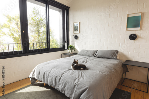 View of bright modern bedroom interior with cat lying on double bed and large windows