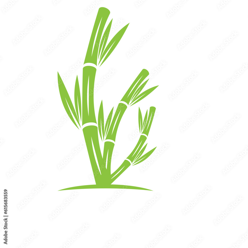 Obraz premium Bamboo with green leaf logo ilustration vector template