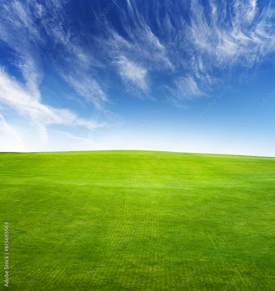 Landscape with green grass field under a blue sky Landscape with green grass field under a blue sky