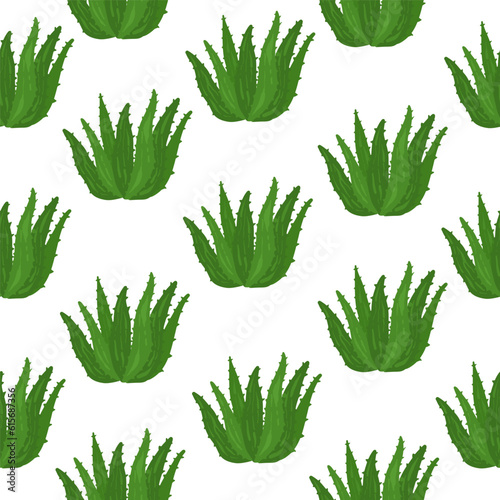 Natural Vector Aloe vera illustration with Aloevera hand drawn lettering