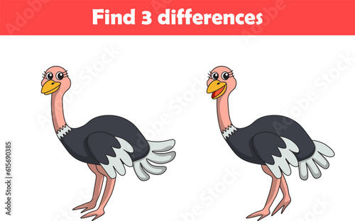 Education game for children find three differences between two ostrich animal cartoon. Vector illustration