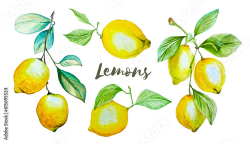 Watercolor set of yellow lemons on the branches with green leaves separate elements cliparts isolated on white 