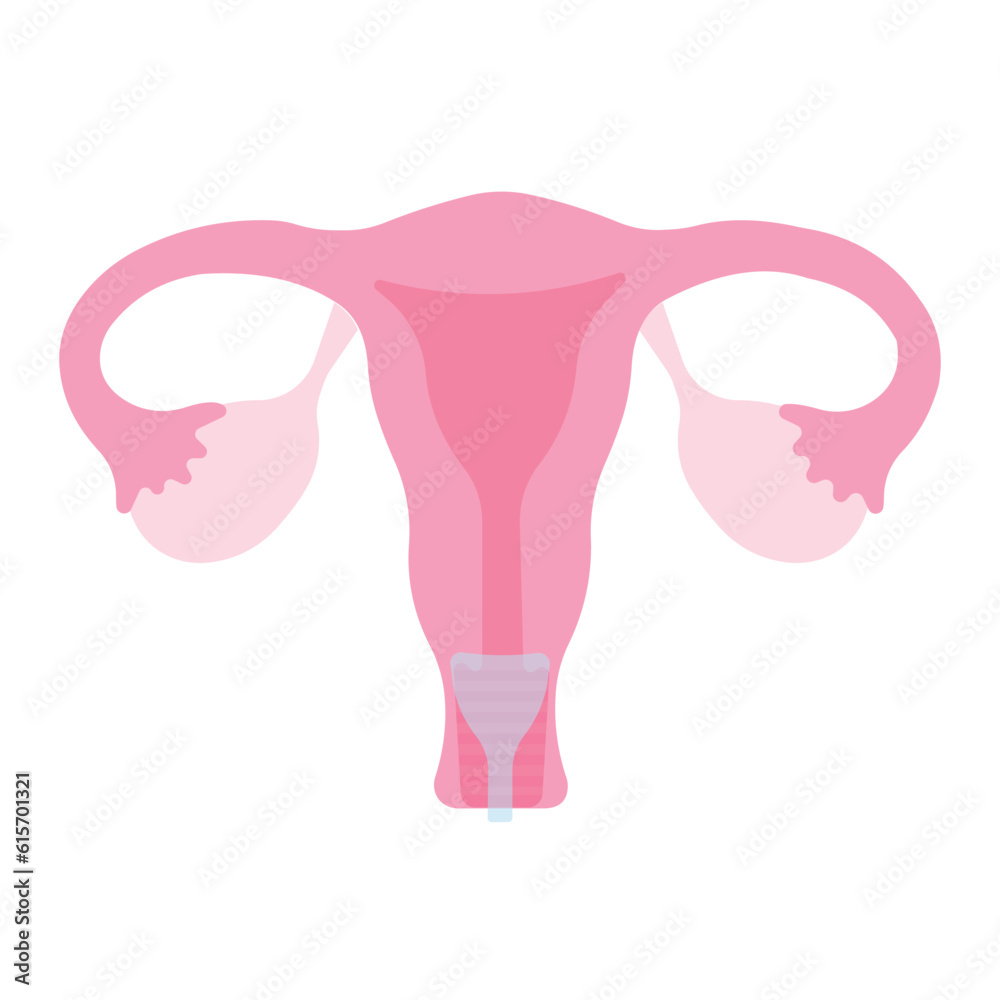 Menstruation vector illustration. Uterus with menstrual cups. Women