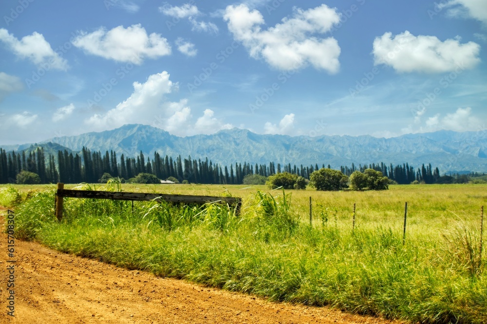 Obraz premium Dirt road in the countryside with blue sky white clouds and green grass with trees and mountains in background. Huleia National Wildlife Refuge, Kauai, Hawaii