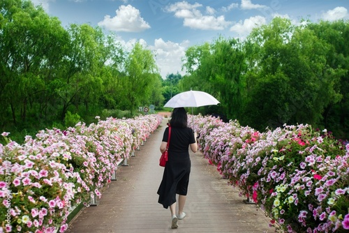 Young woman with umbrella walking in flower garden towards flourishing green trees on a sunny day with blue sky and white marshmallow clouds © Emanuele