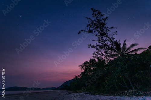 Palm Tree and Beach under a Starry Night Sky with Romantic Evening Twilight, Queensland, Australia