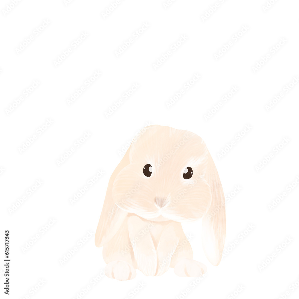 Obraz premium Rabbit 02